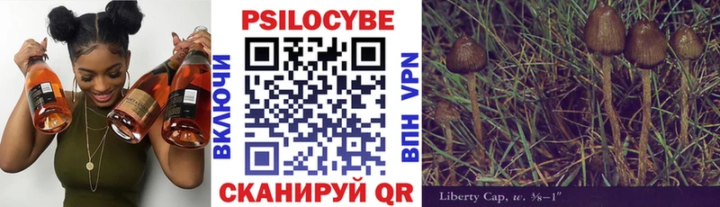 Купить где  Чухлома  Галлюциногенные грибы MAGIC MUSHROOMS 